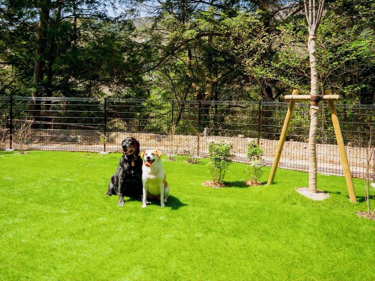 House with sauna & yard | Close to Tobu World Square | Pets allowed — photo 2