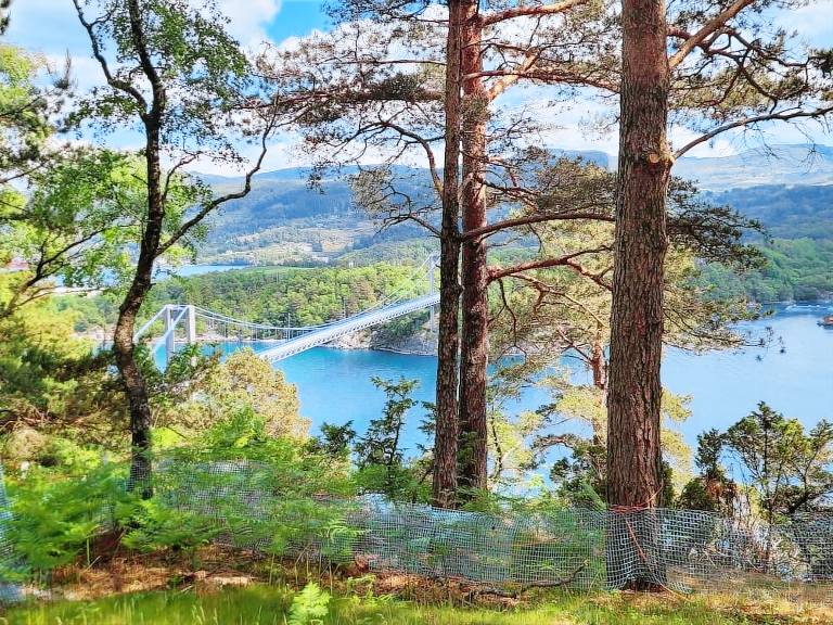 Camping-Unterkunft Valvik