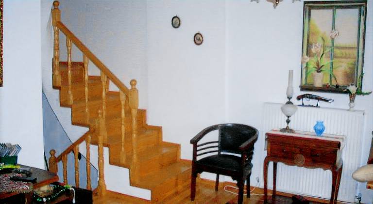 Beautiful house | Dogs allowed — photo 4