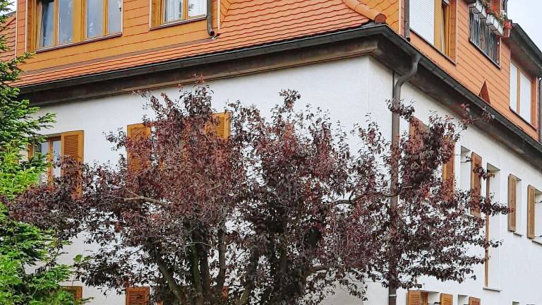 Ferienwohnung Neustadt