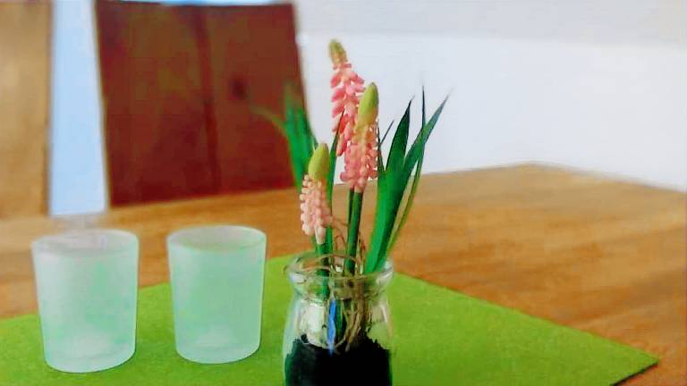 Ferienwohnung Rheine