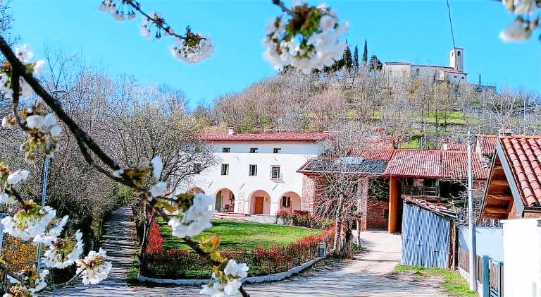 B&B CA PANISACCO in Vicenza