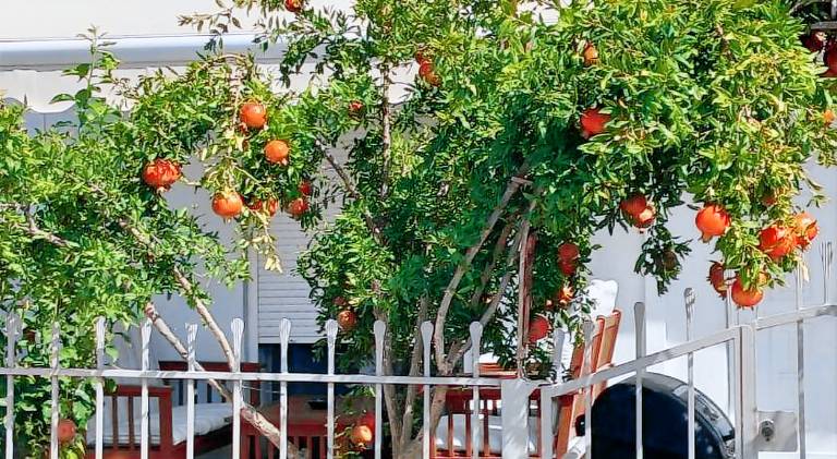 σπίτι Νέα Ηρακλείτσα