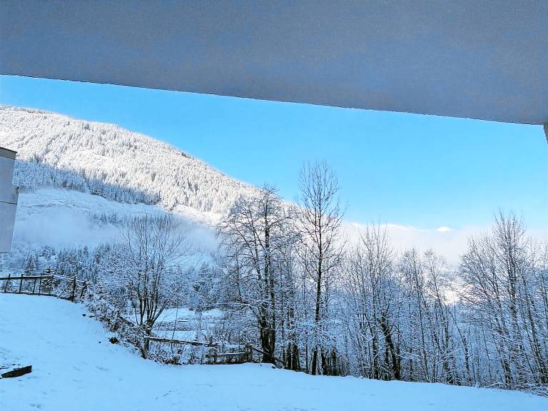 Ferienwohnung Haus Alpenkönig Top 31 — photo 3