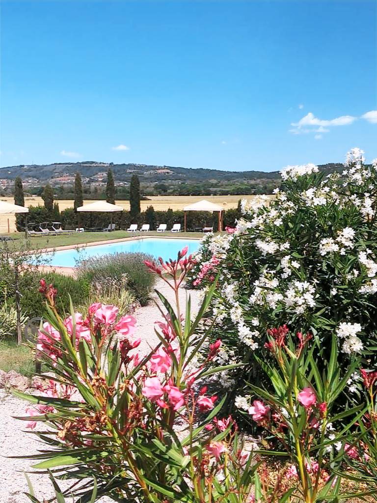 Apartment mit Pool, Grill und Garten