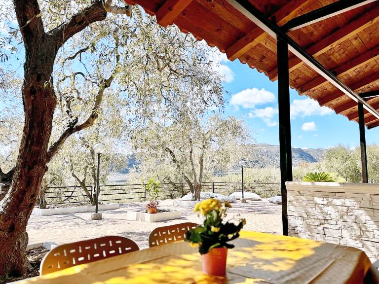 Holiday apartment with pool, yard & patio | Pets are welcome — photo 3