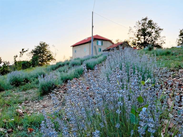 Cascina Cornelli: Camera Tarinè — photo 4
