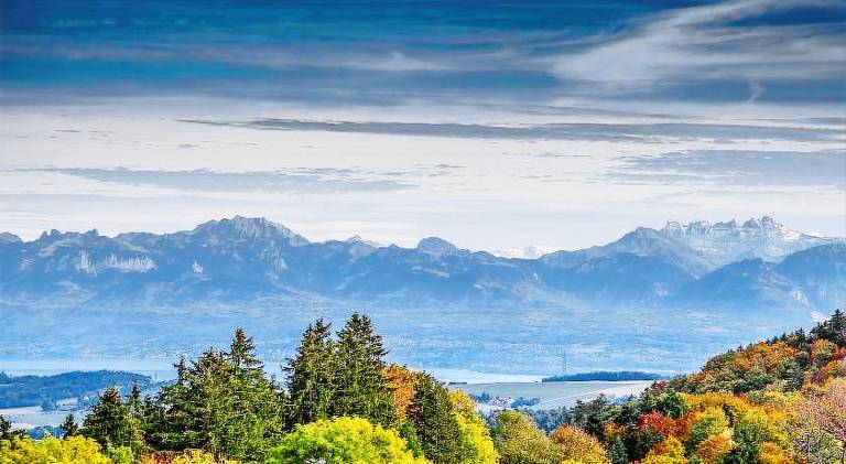 Auberge au Cavalier in Nyon