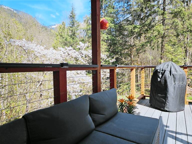 Cabin Marblemount