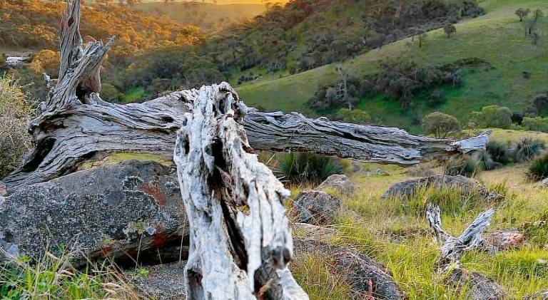 Kaiser Ridge eco stay