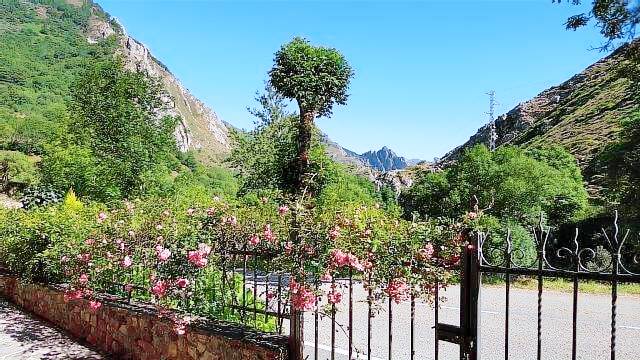 Casa rural Caunedo