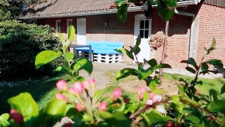 Ferienwohnung  Finkenwerder