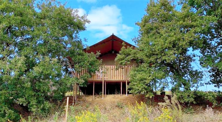 Tent with 1 room for 4 persons in Magliano in Toscana