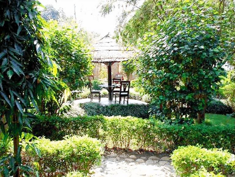 Bardia Forest Resort — photo 3