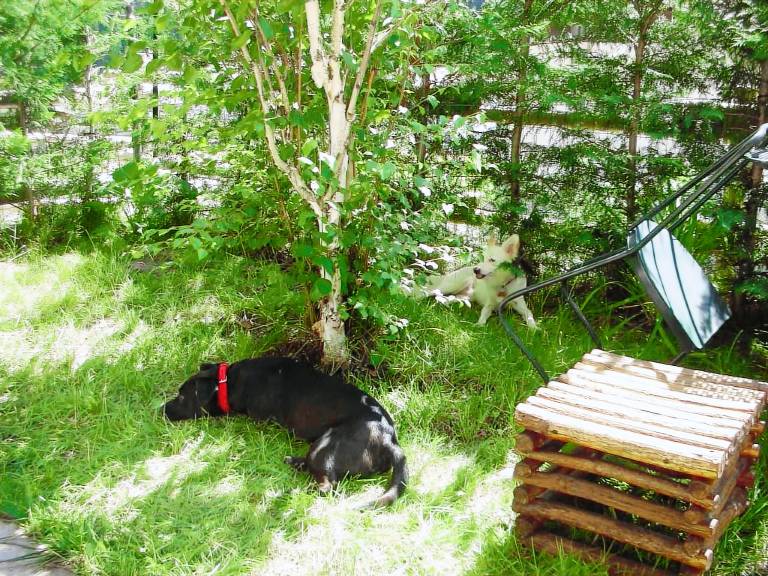 Rental apartment with garden | Nature view — photo 4