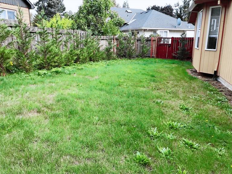 House  Tigard