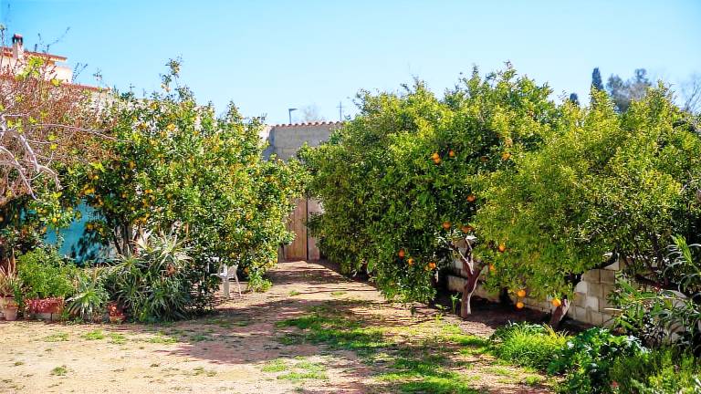 Child-friendly beautiful holiday apartment with patio & yard | Pet-friendly in Teo