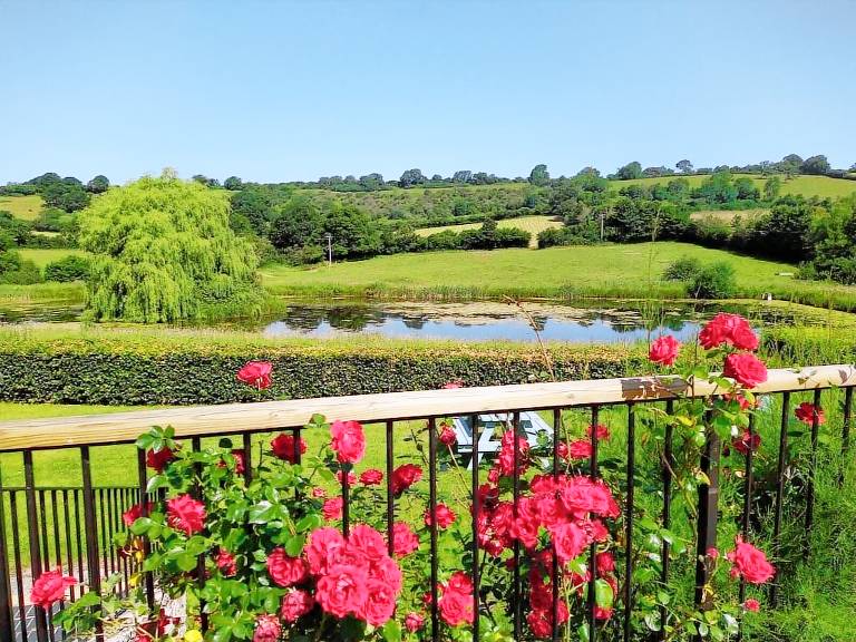 House  Clutton