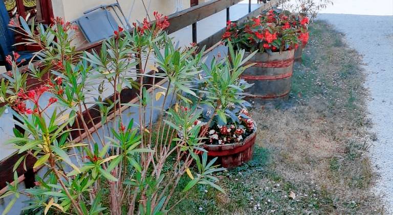 Holiday apartment | Pets allowed — photo 4