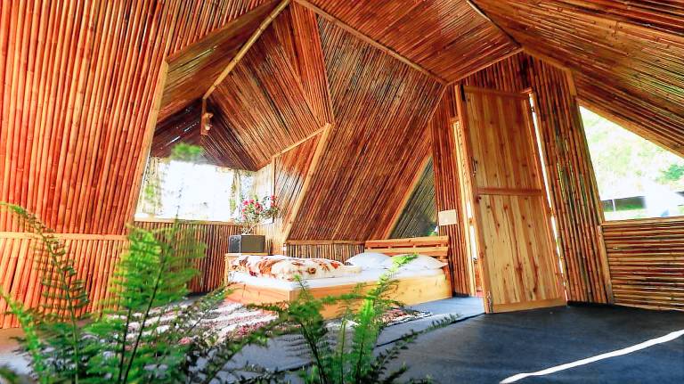 House with pool, barbeque & garden | Suitable for remote work | Dogs allowed — photo 2