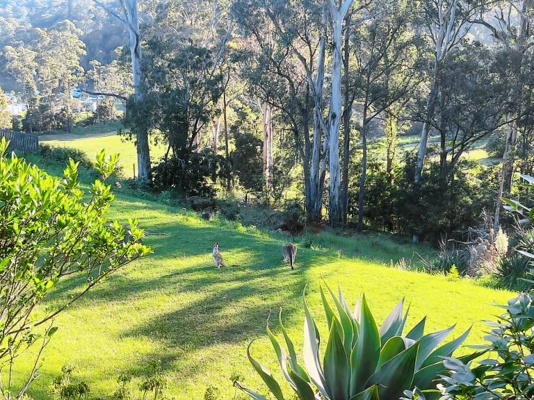 House Merimbula