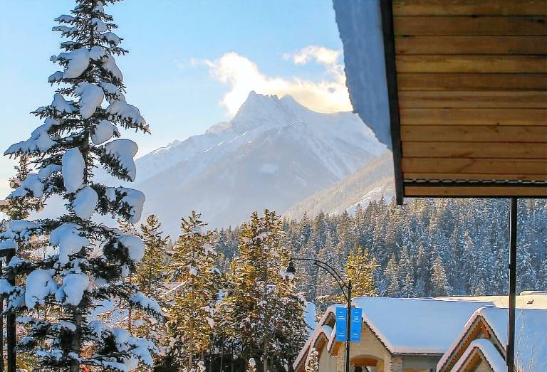 Bed and breakfast Panorama