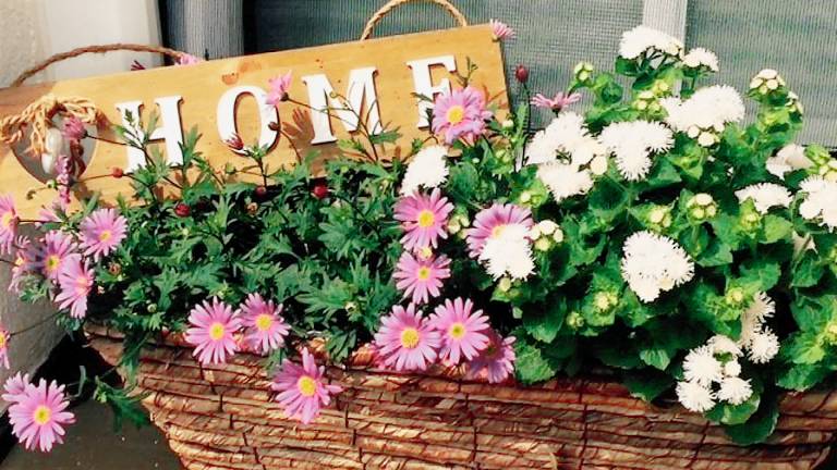 Ferienwohnung Freilassing