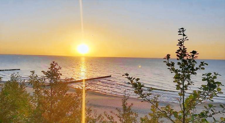 Charming vacation home with patio, BBQ & garden | Close to the beach | Pets allowed — photo 4