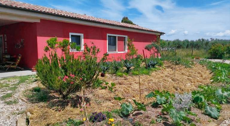 Farm with yard & terrace | Pets allowed in Piombino