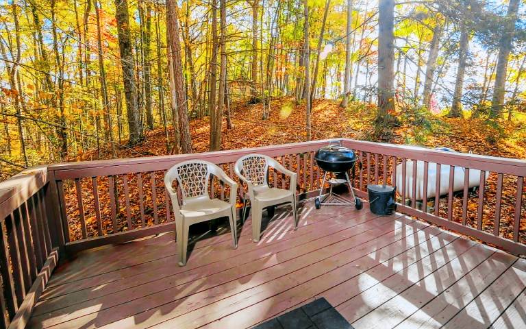Precious Moments - Pet-friendly Cabin and hot tub — photo 5