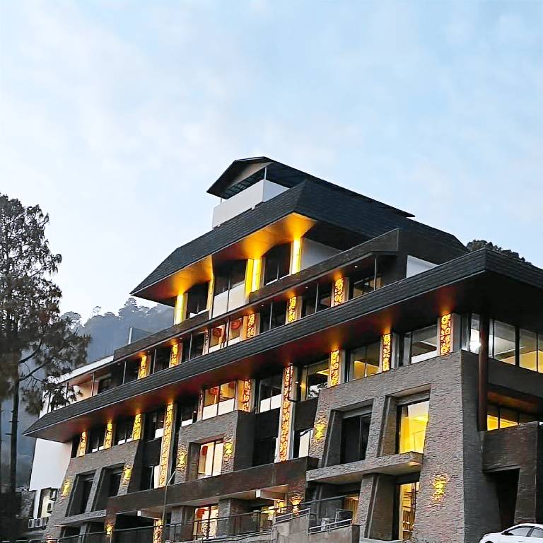 Viceroy In The Himalayas An ALIVAA