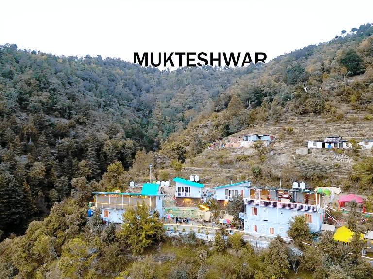 The Rare One's in Dhari