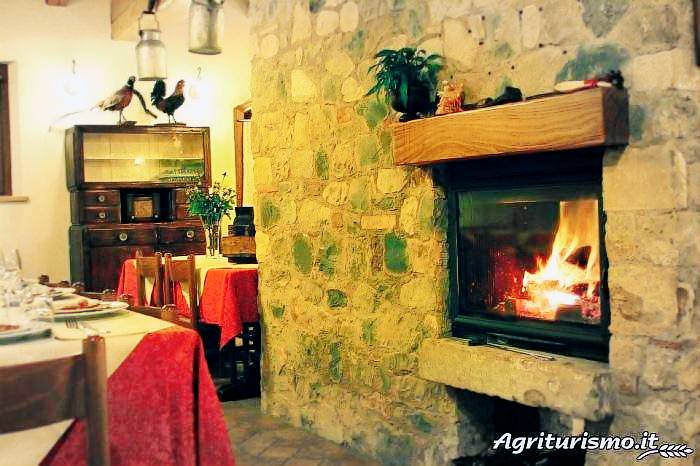 Moro Barel: Tarjol — photo 5