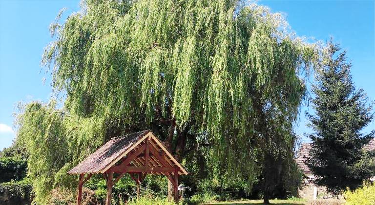 Wonderful apartment | Pets allowed in Moulins