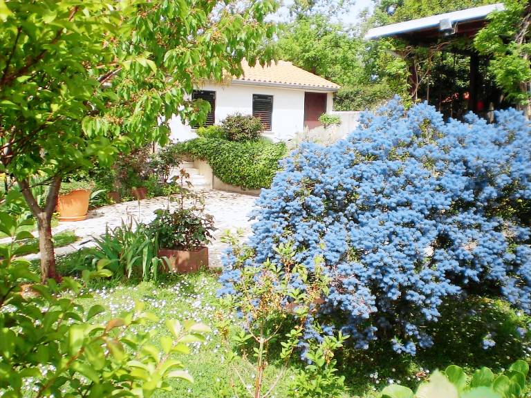 Vacation home with BBQ & garden | Pet-friendly in Medulin