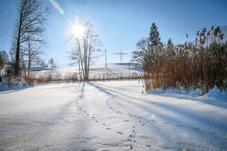 Ferienwohnung Kramsach