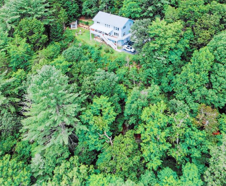 Cabin Dillard