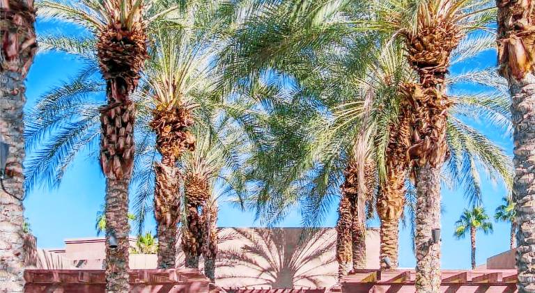 Grand Hyatt Indian Wells Resort & Villas — photo 3