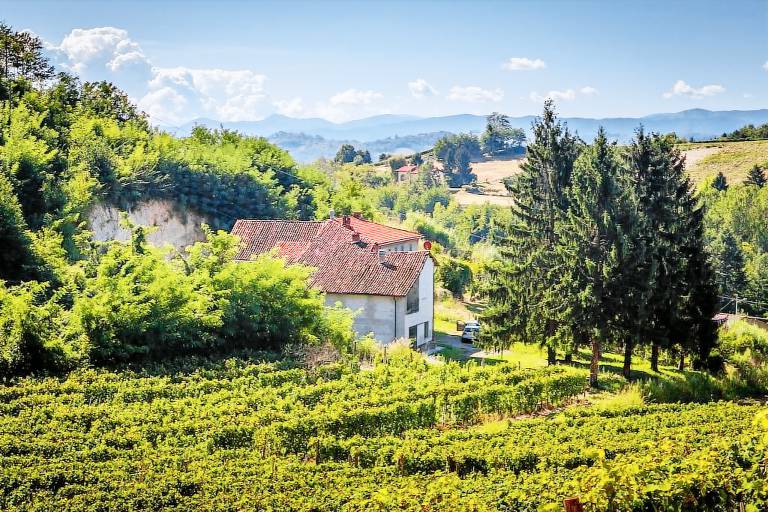 Cottage Acqui Terme