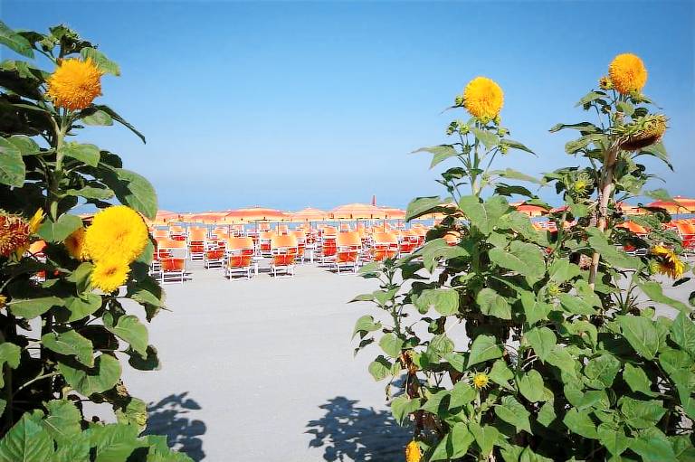 Mediterraneo Palace Hotel