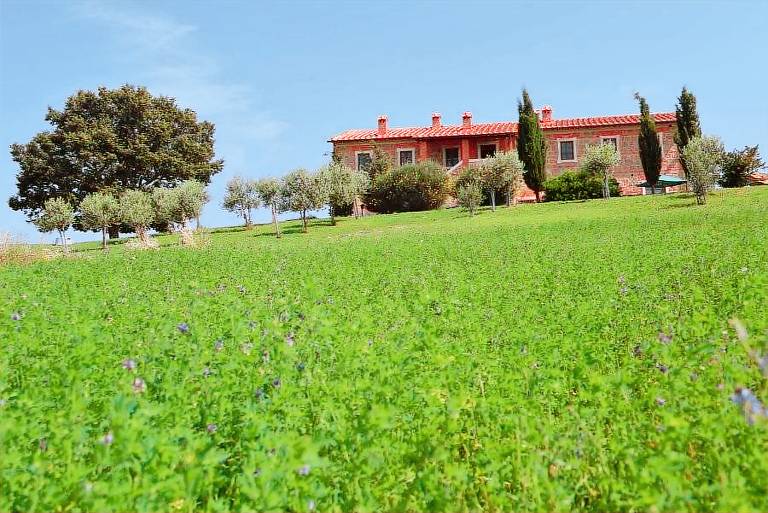Lucciola Bella: LAVANDA — photo 3