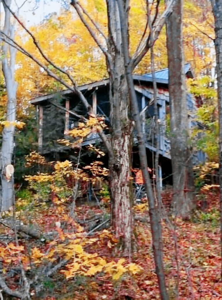 Cabin Port Perry