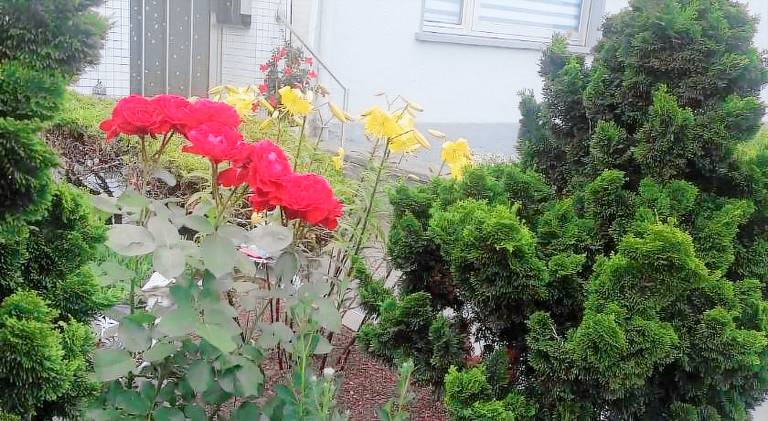 Holiday apartment with 2 rooms for 5 persons in Saarlouis