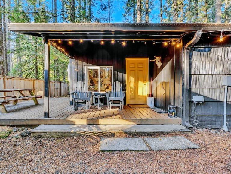 Little Chestnut Cabin — photo 2