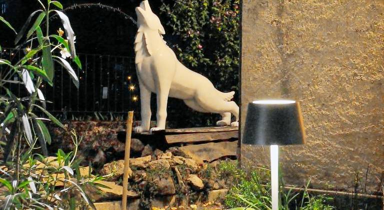 Auberge de la fontaine aux loups — photo 4