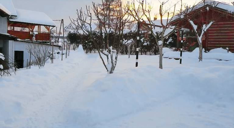 foto6