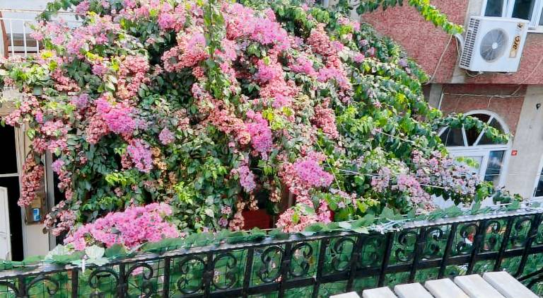 Buyukada Carsı Pansiyon — photo 4