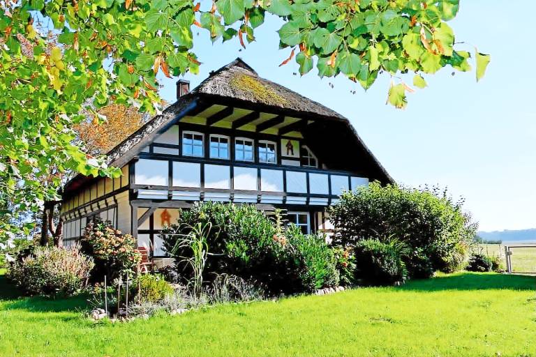 Ferienwohnung mit Hund in Bergen auf Rügen f&uuml;r max. 4 Personen