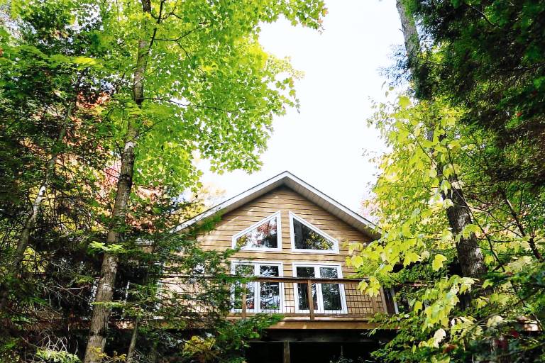 Cabin  Haliburton