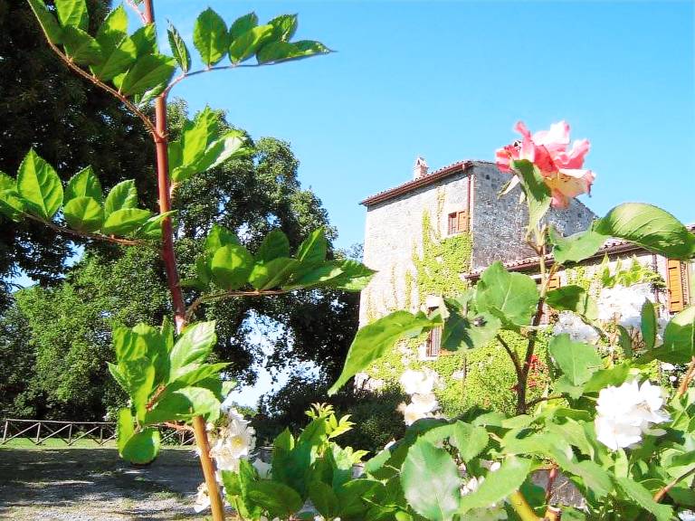 Valle del Tione: Stradone 4-5 persone — photo 3